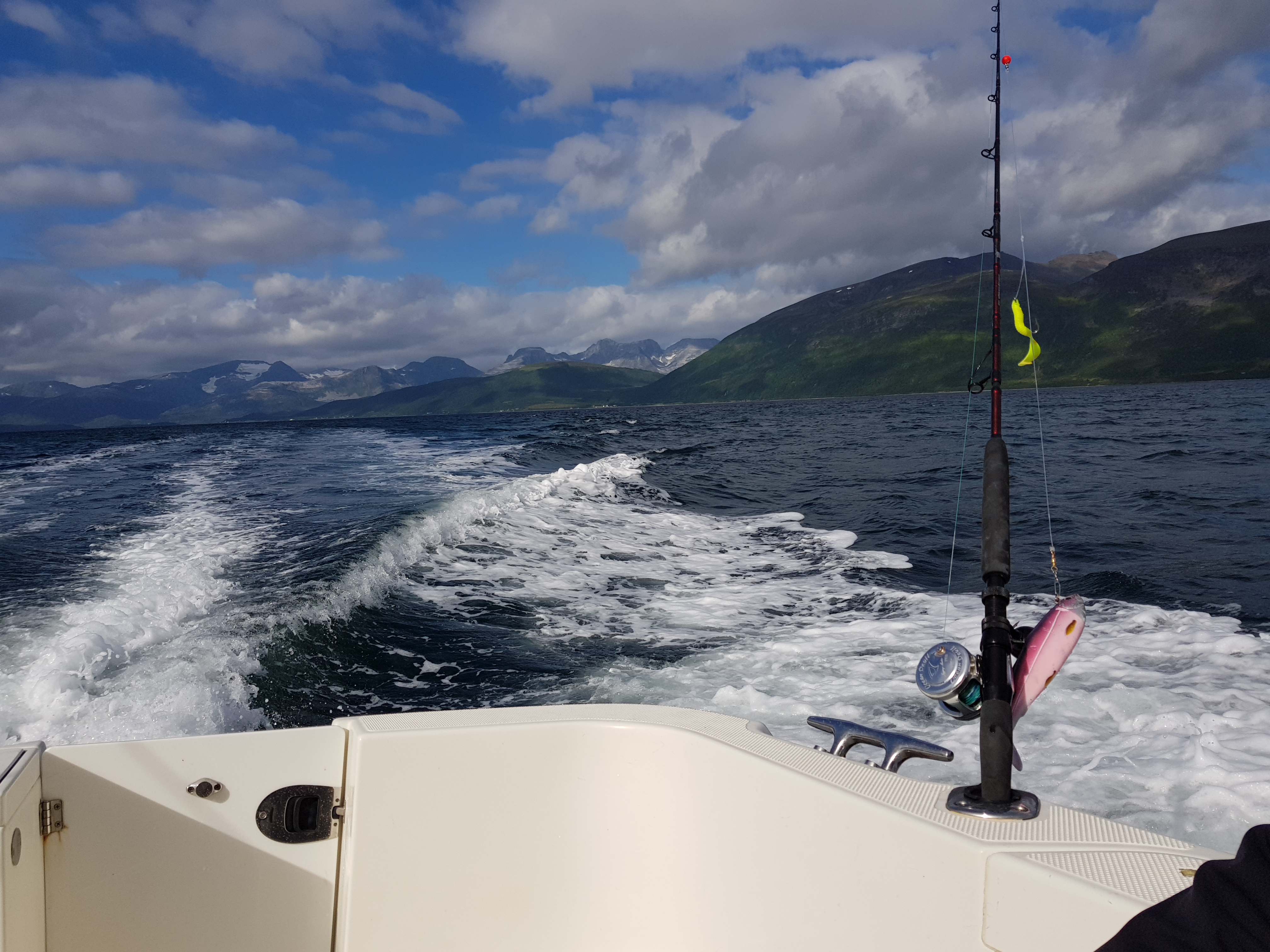 X Rute mit Gummifisch u Heckstrahl